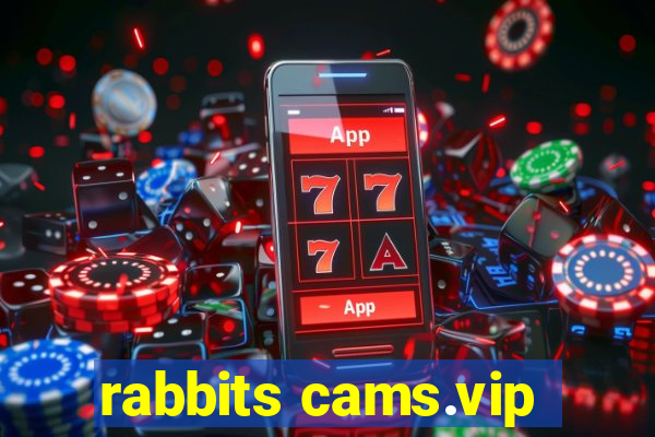 rabbits cams.vip